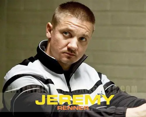 Jeremy Renner Wall Poster picture 187397