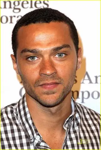 Jesse Williams Jigsaw Puzzle picture 140410