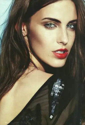 Jessica Lowndes Wall Poster picture 71738