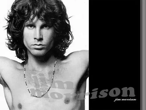 Jim Morrison Kitchen Apron - idPoster.com