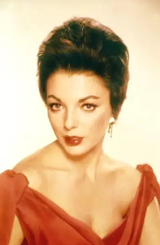 Joan Collins Wall Poster picture 249326