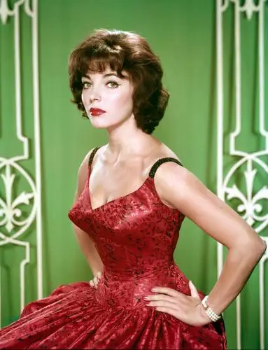 Joan Collins Wall Poster picture 249352