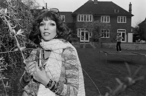 Joan Collins Wall Poster picture 661834