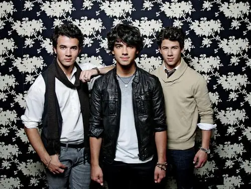 Jonas Brothers Jigsaw Puzzle picture 522555