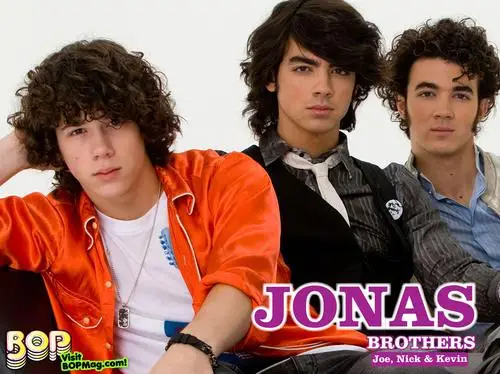 Jonas Brothers Fridge Magnet picture 92699