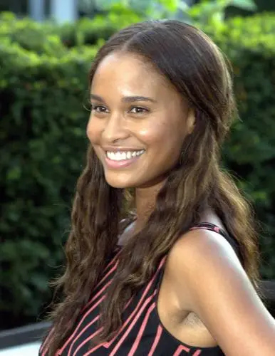 Joy Bryant Wall Poster picture 97180