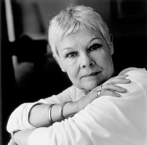 Judi Dench Jigsaw Puzzle picture 647366