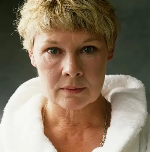 Judi Dench Protected Face mask - idPoster.com