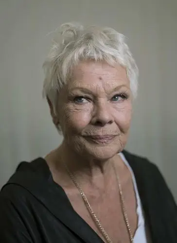Judi Dench Wall Poster picture 647377