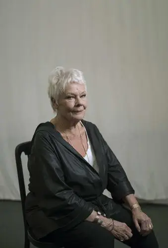 Judi Dench Wall Poster picture 647379