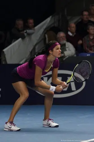 Julia Goerges Wall Poster picture 217380