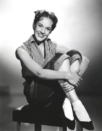 Julie Andrews Wall Poster picture 334984
