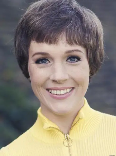 Julie Andrews Wall Poster picture 334987