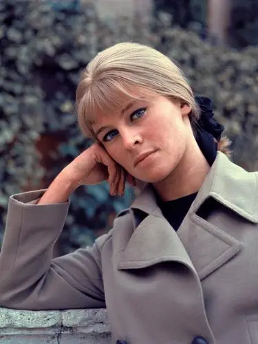 Julie Christie Wall Poster picture 249964