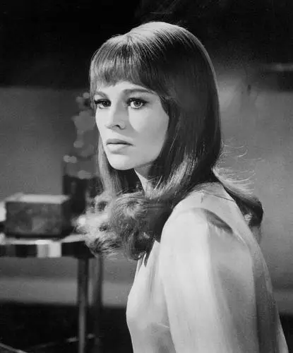 Julie Christie Wall Poster picture 650563