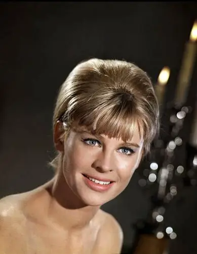 Julie Christie Wall Poster picture 650586