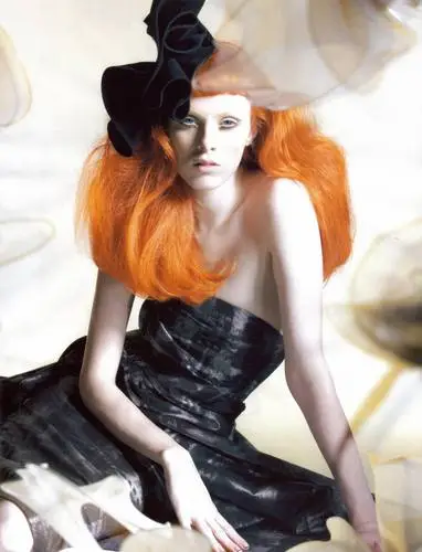 Karen Elson Wall Poster picture 70555