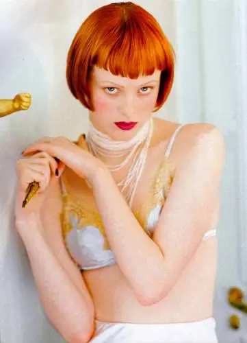 Karen Elson Wall Poster picture 707528