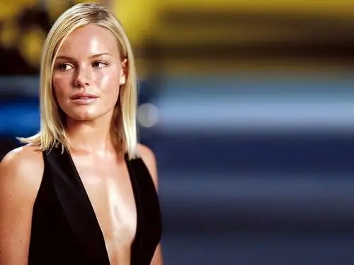 Kate Bosworth Fridge Magnet picture 142109