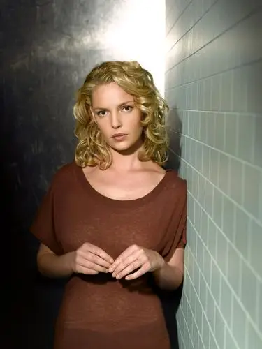 Katherine Heigl Wall Poster picture 722545