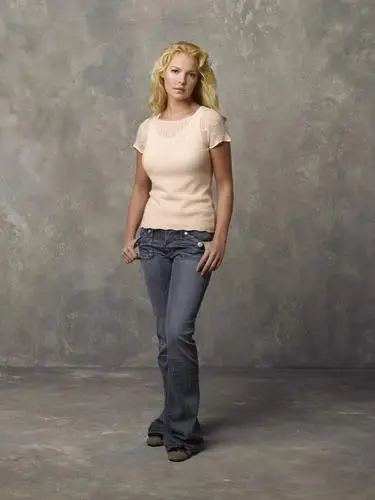 Katherine Heigl Wall Poster picture 722548