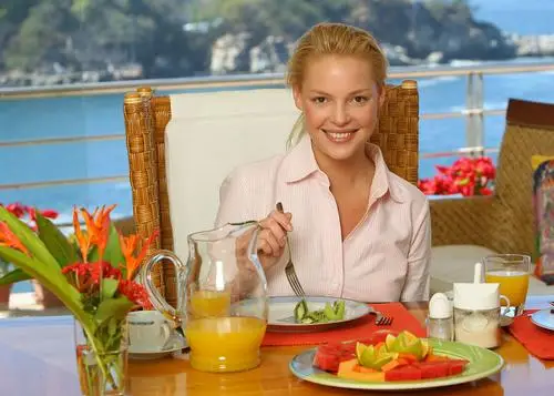 Katherine Heigl Jigsaw Puzzle picture 722577
