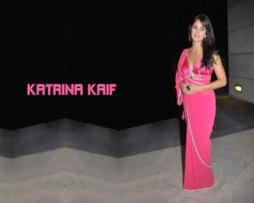 Katrina Kaif Wall Poster picture 153814