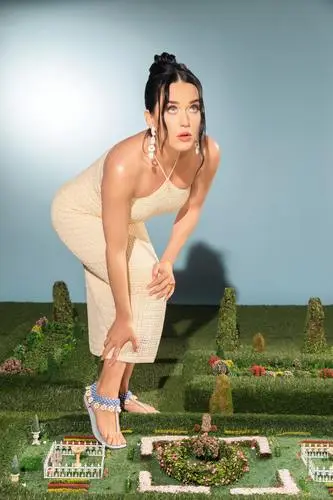 Katy Perry Jigsaw Puzzle picture 1053209