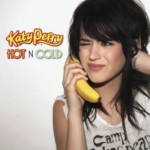 Katy Perry Fridge Magnet picture 11536