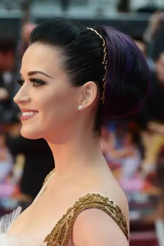Katy Perry Fridge Magnet picture 179077
