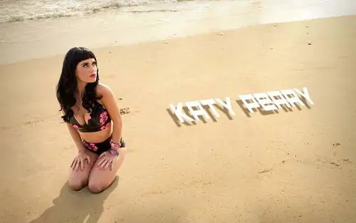 Katy Perry Wall Poster picture 724935