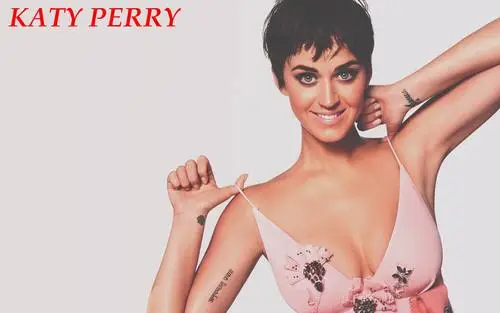 Katy Perry Kitchen Apron - idPoster.com