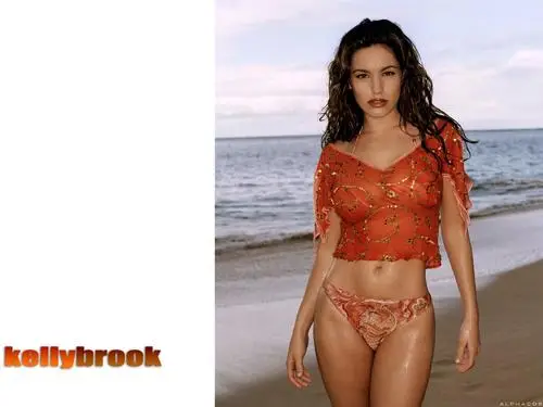 Kelly Brook Wall Poster picture 143162
