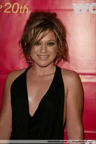 Kelly Clarkson Jigsaw Puzzle picture 12139
