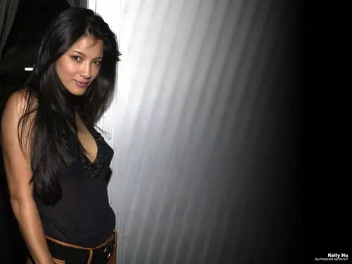 Kelly Hu Jigsaw Puzzle picture 143668