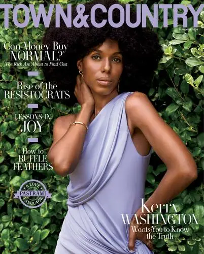 Kerry Washington Wall Poster picture 15376