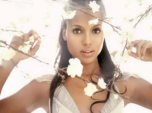 Kerry Washington Wall Poster picture 728417