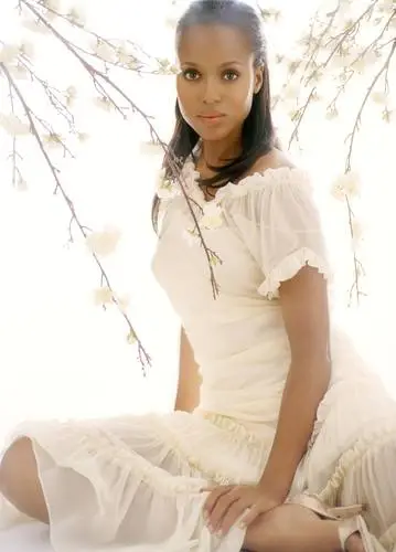 Kerry Washington Wall Poster picture 728422