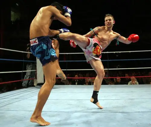 Kickboxing Jigsaw Puzzle picture 217825