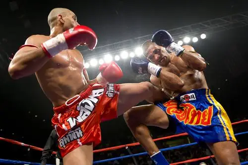Kickboxing Jigsaw Puzzle picture 217833