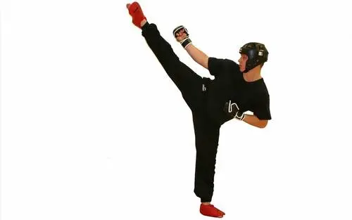 Kickboxing Fridge Magnet picture 217838