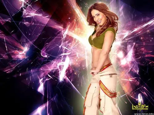 Kim Sharma Wall Poster picture 97445