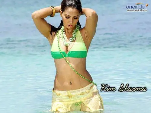 Kim Sharma Wall Poster picture 97452