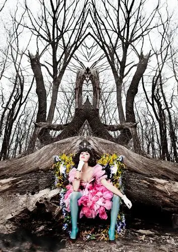 Kimbra Wall Poster picture 364727
