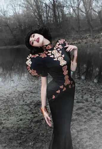 Kimbra Jigsaw Puzzle picture 364728