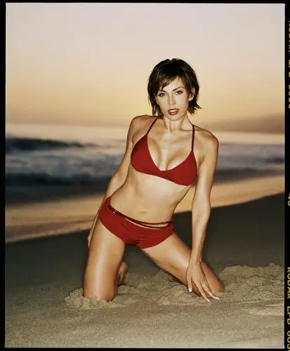 Krista Allen Wall Poster picture 668440