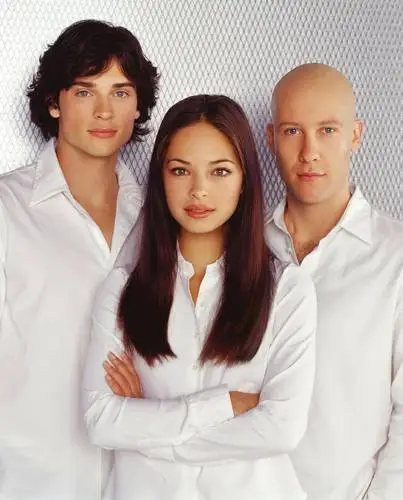 Kristin Kreuk Wall Poster picture 40096