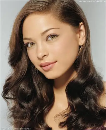 Kristin Kreuk Wall Poster picture 40109