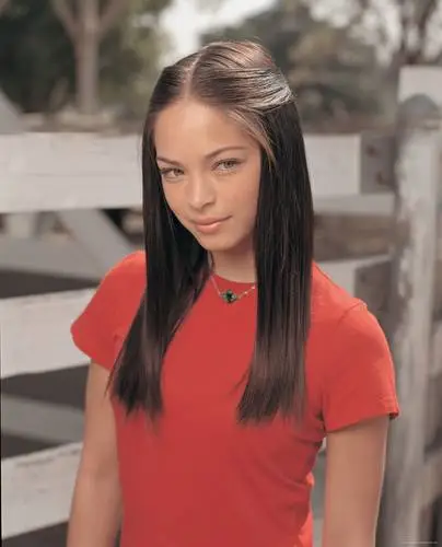 Kristin Kreuk Wall Poster picture 729646