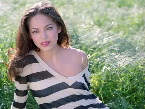 Kristin Kreuk Wall Poster picture 97528
